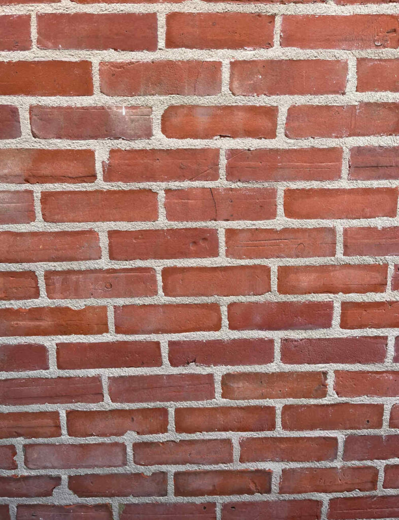lime-11